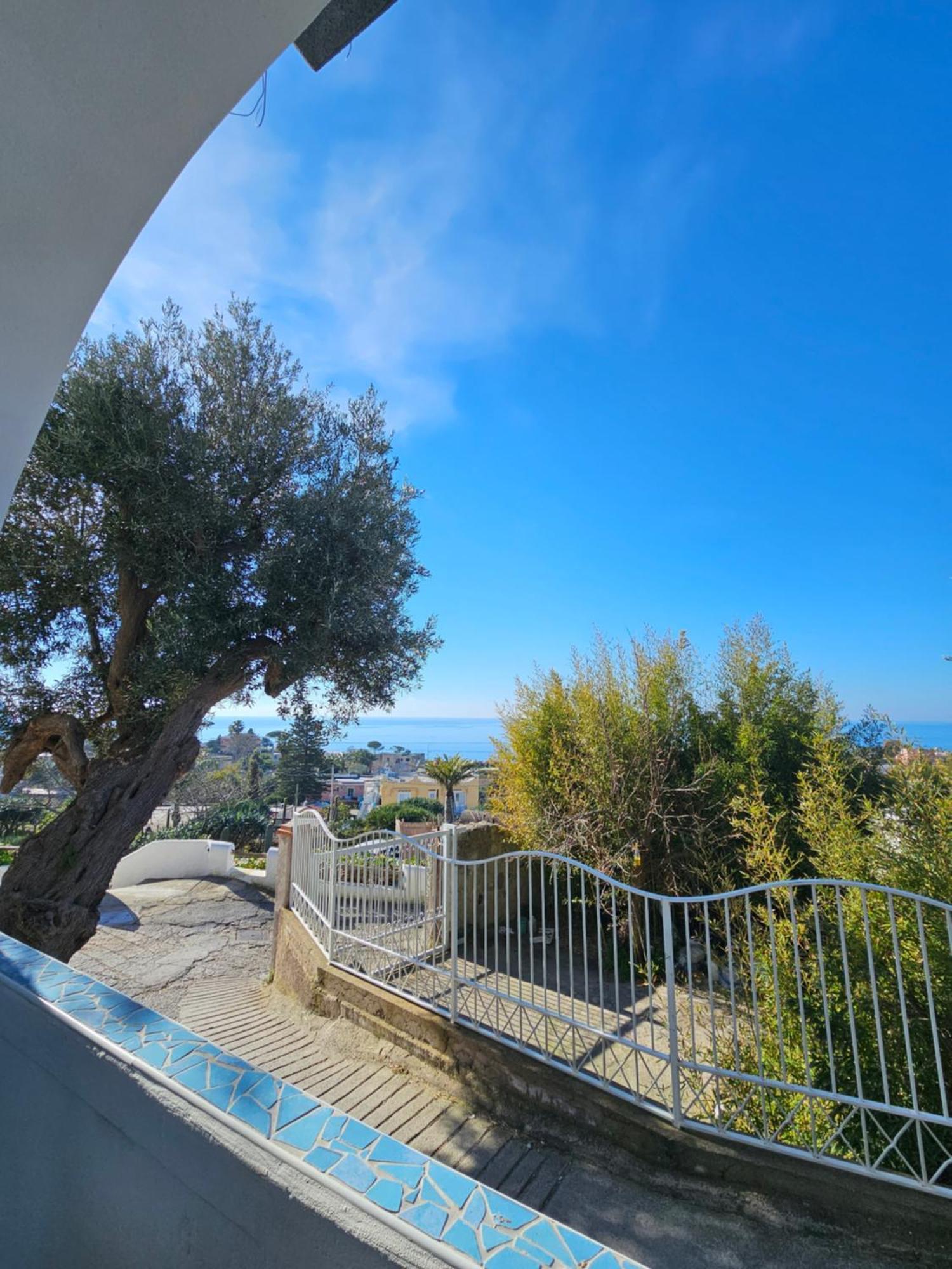 Residence Limoneto Ischia Forio  Екстер'єр фото