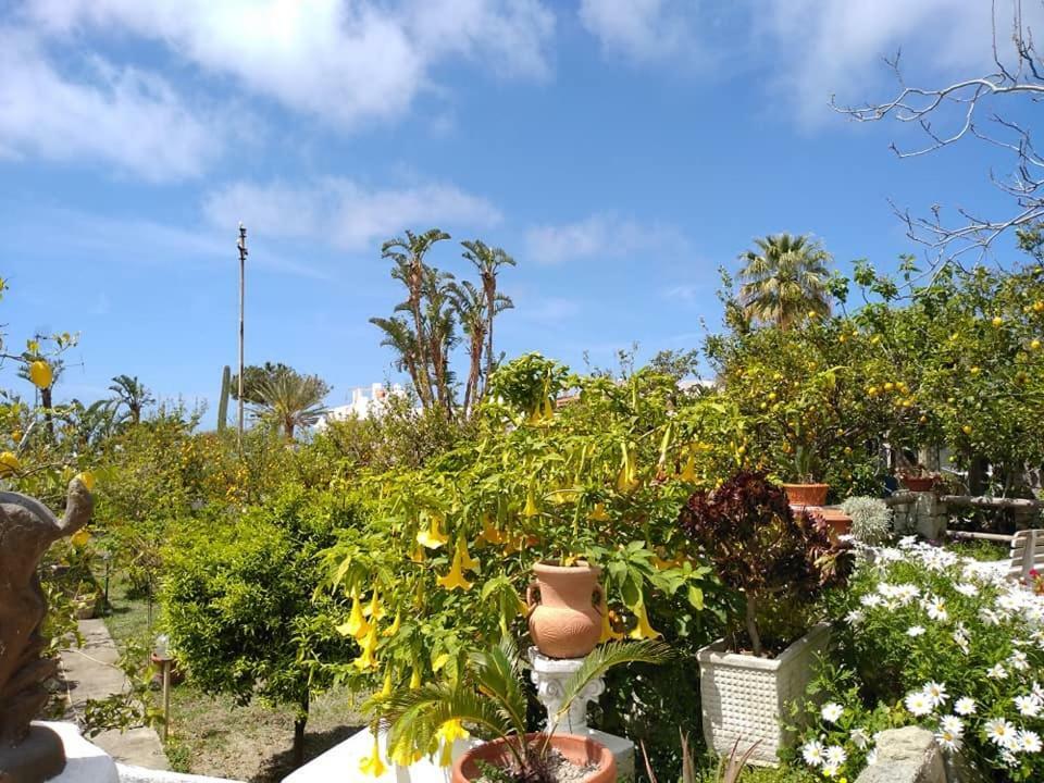 Residence Limoneto Ischia Forio  Екстер'єр фото